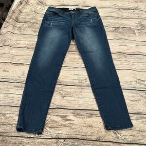 “Artisan Crafted” Democracy Skinny Jeans in Whiskered Dark Wash Size 10